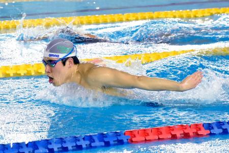 本多灯、世界水泳へキック強化 来月は欧州ＧＰ出場