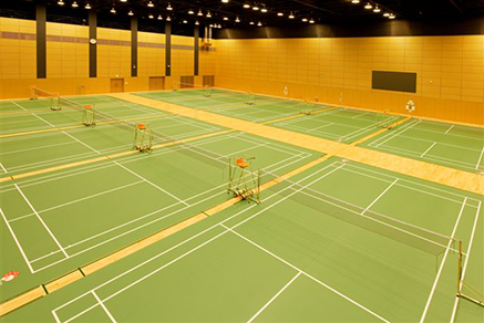 olympic badminton court